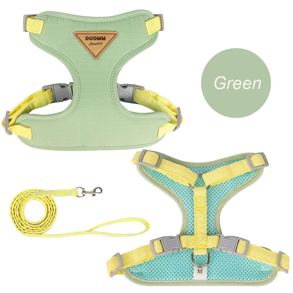 Harness and Leash Set for Small Dogs Cats