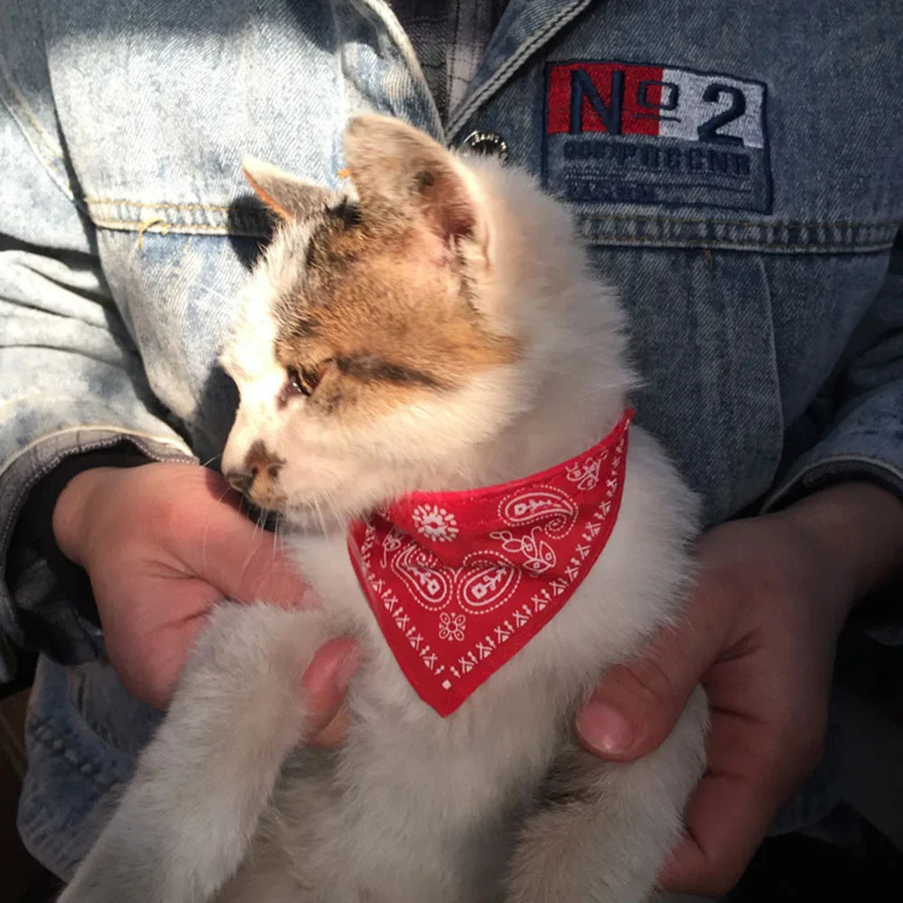 Pet Scarf Collar