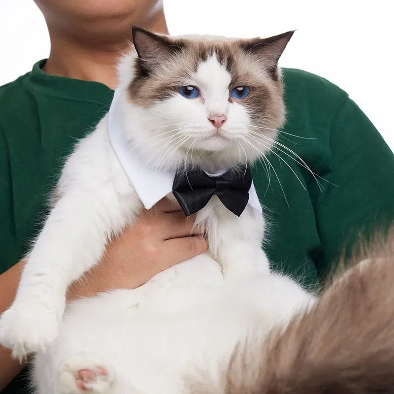 Adjustable Pets Bow Tie