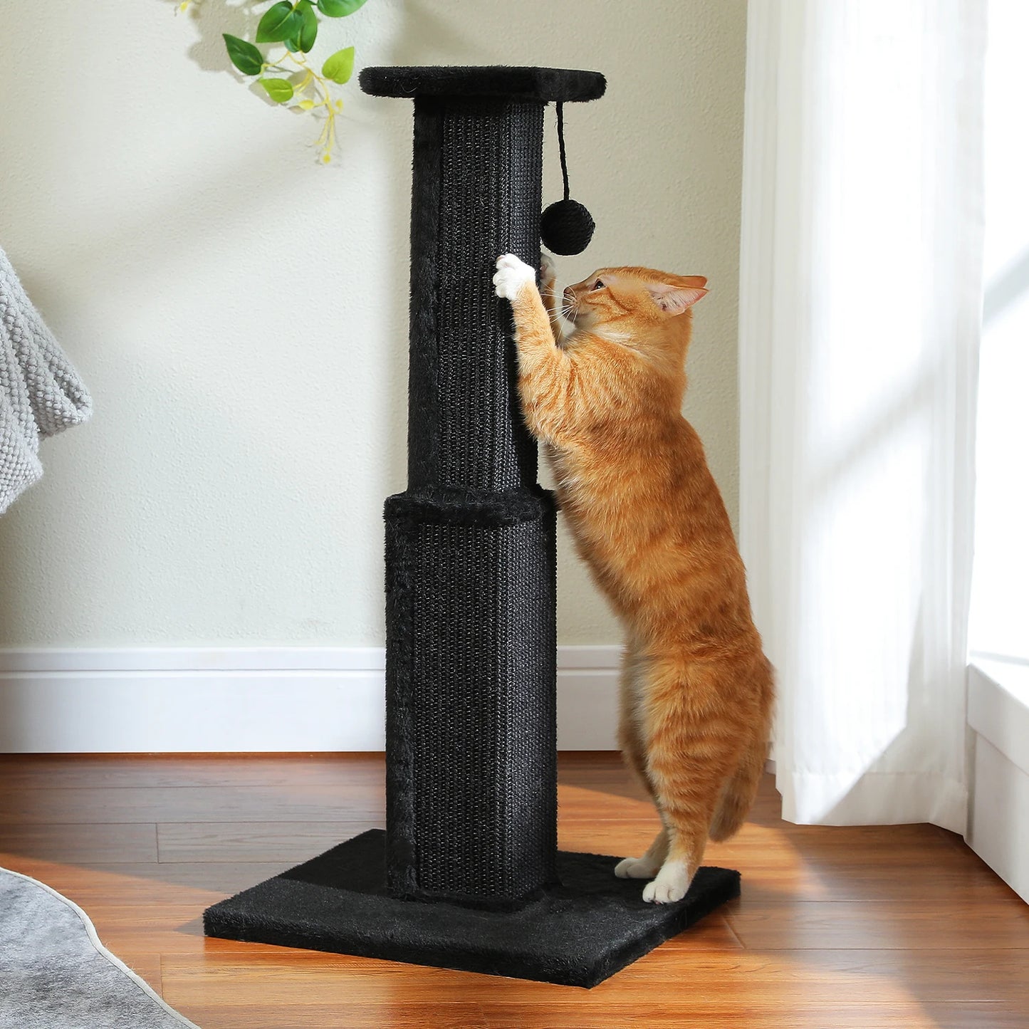 Cat Scratching Post with Natural Sisal Ball
