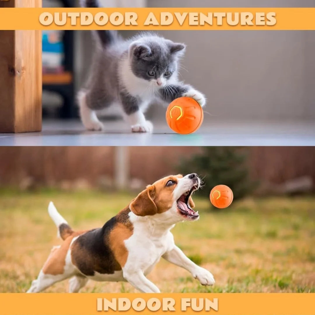toy Gravity Electric Amusement Pet Ball