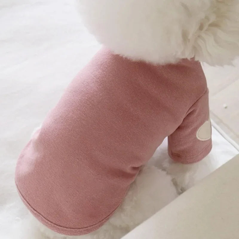 Cute Love Bear Teddy Hoodie for Cat