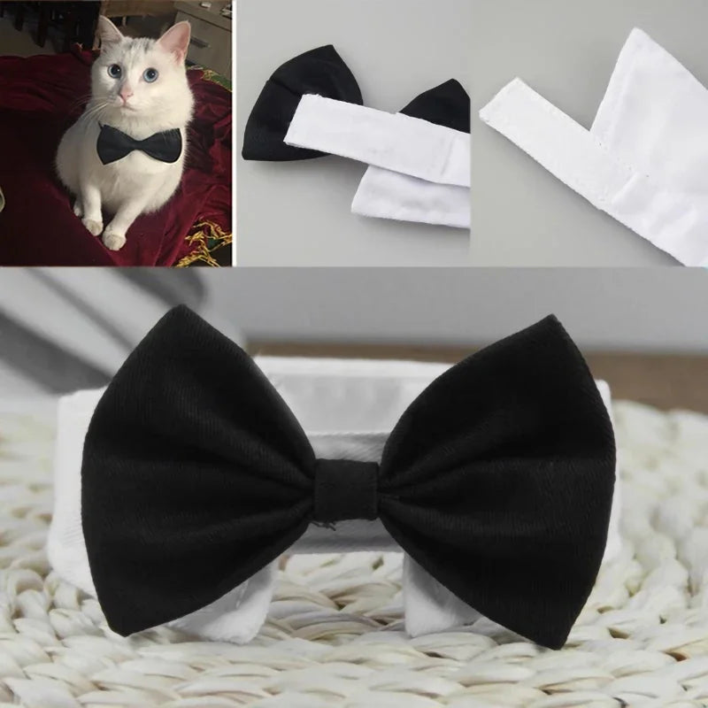 Adjustable Pets Bow Tie