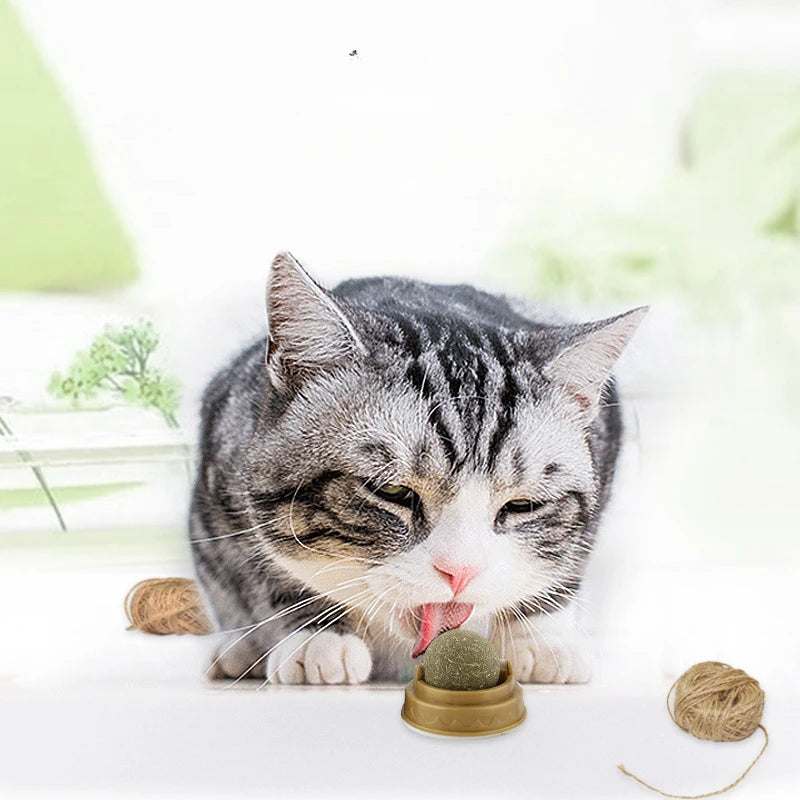 Catnip Wall Stick-on Ball Toy
