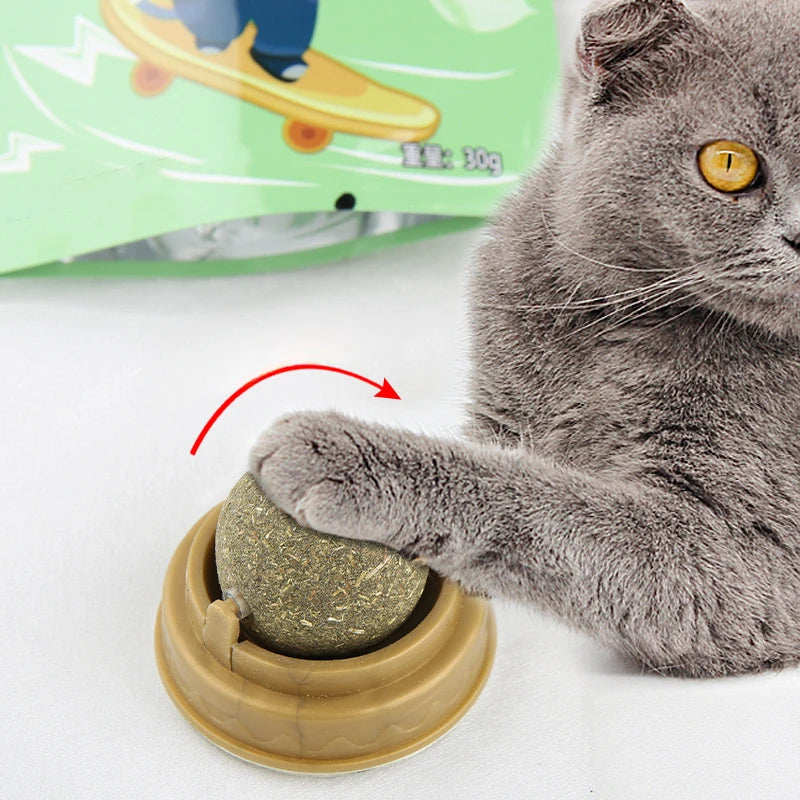 Catnip Wall Stick-on Ball Toy