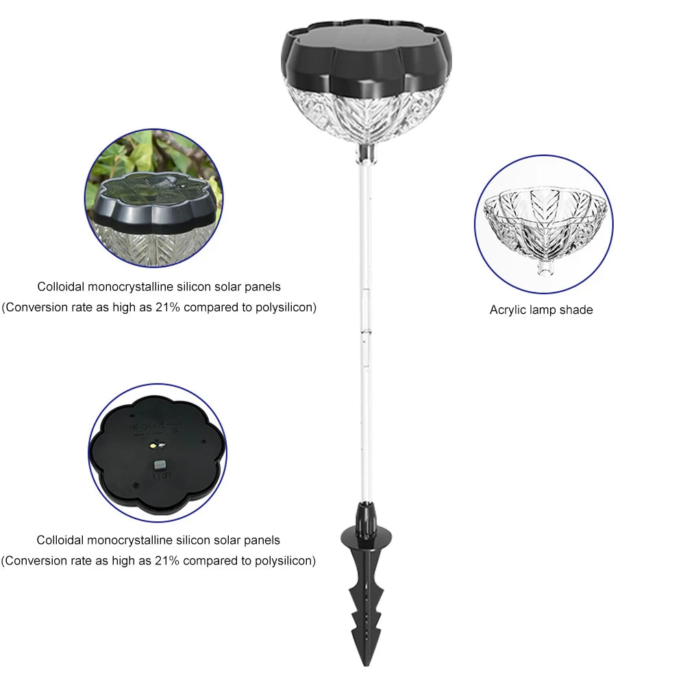 Solar Pathway Lights