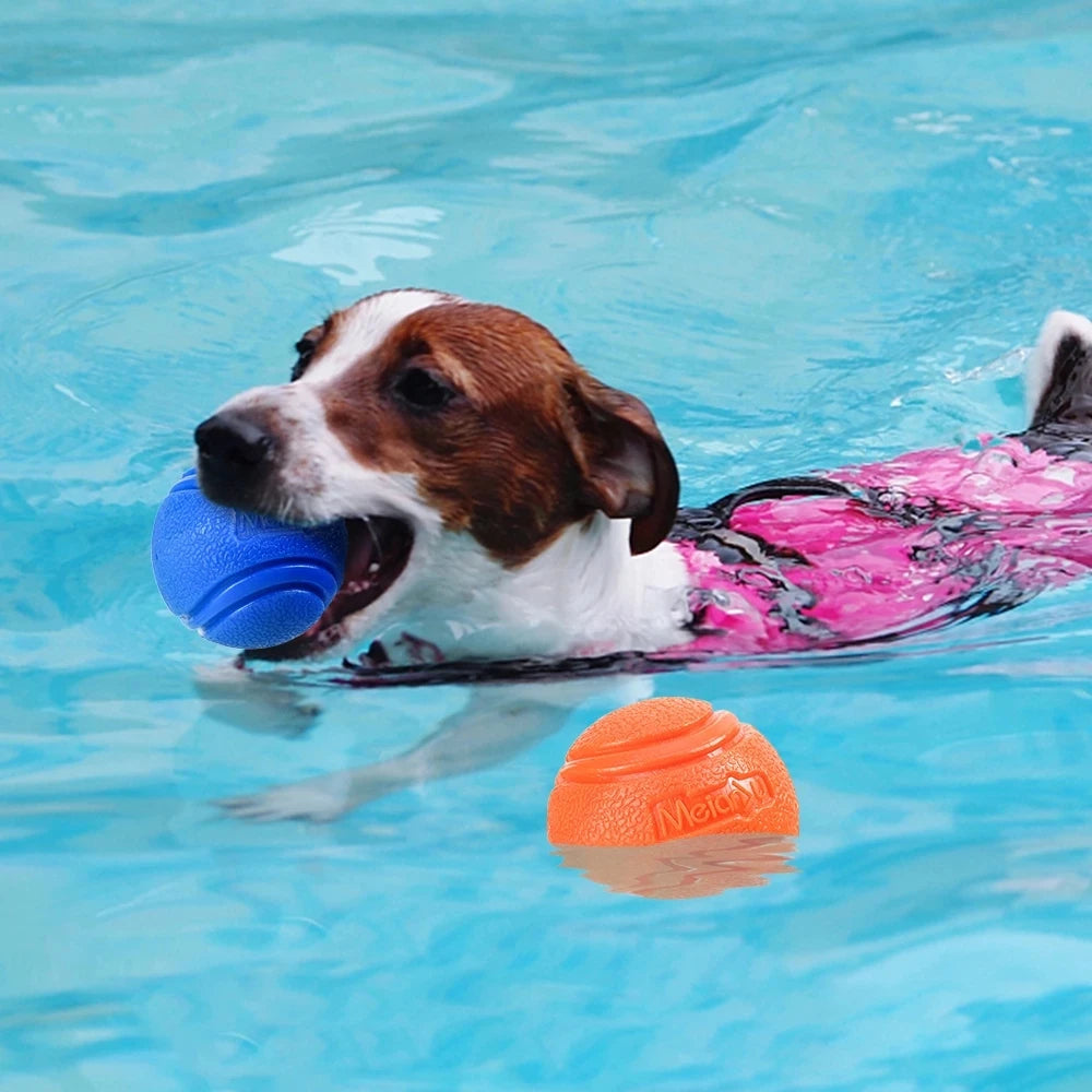 Toys Ball for Pet