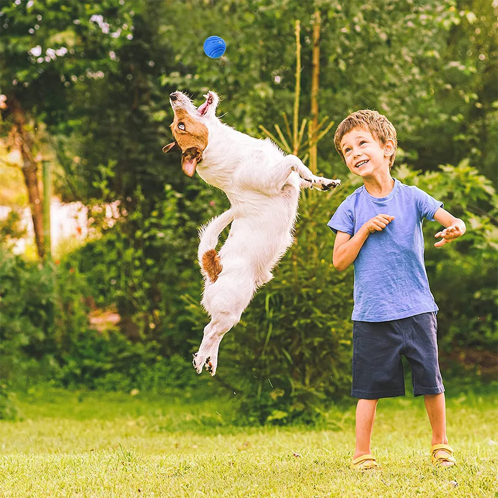 Toys Ball for Pet