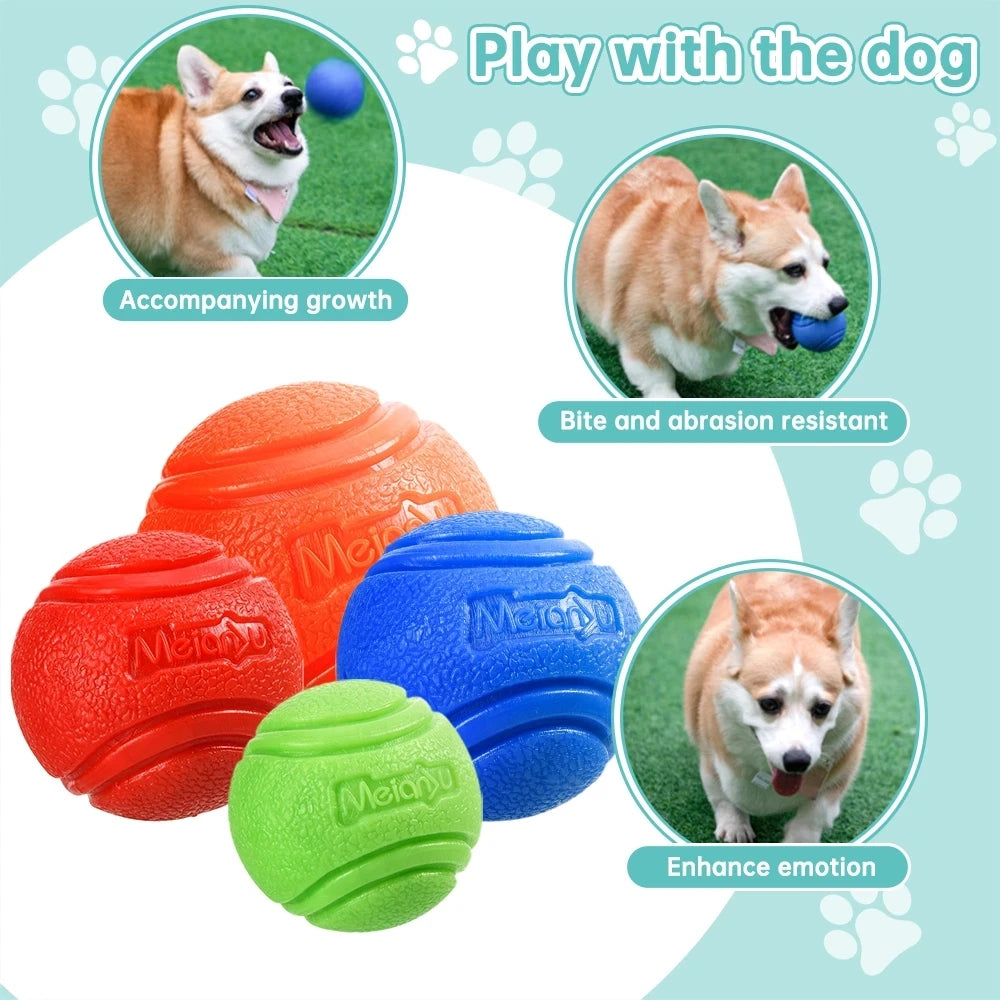 Toys Ball for Pet