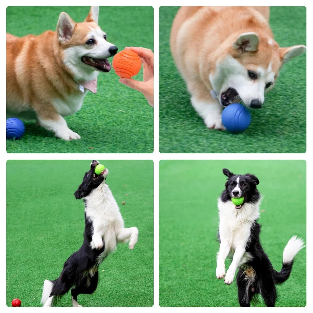 Toys Ball for Pet