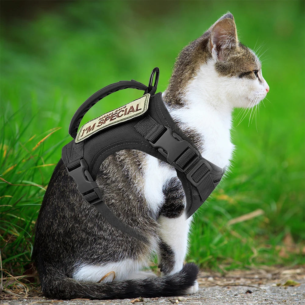 Tactical Cat Harness or Patch Adjustable K9 Vest