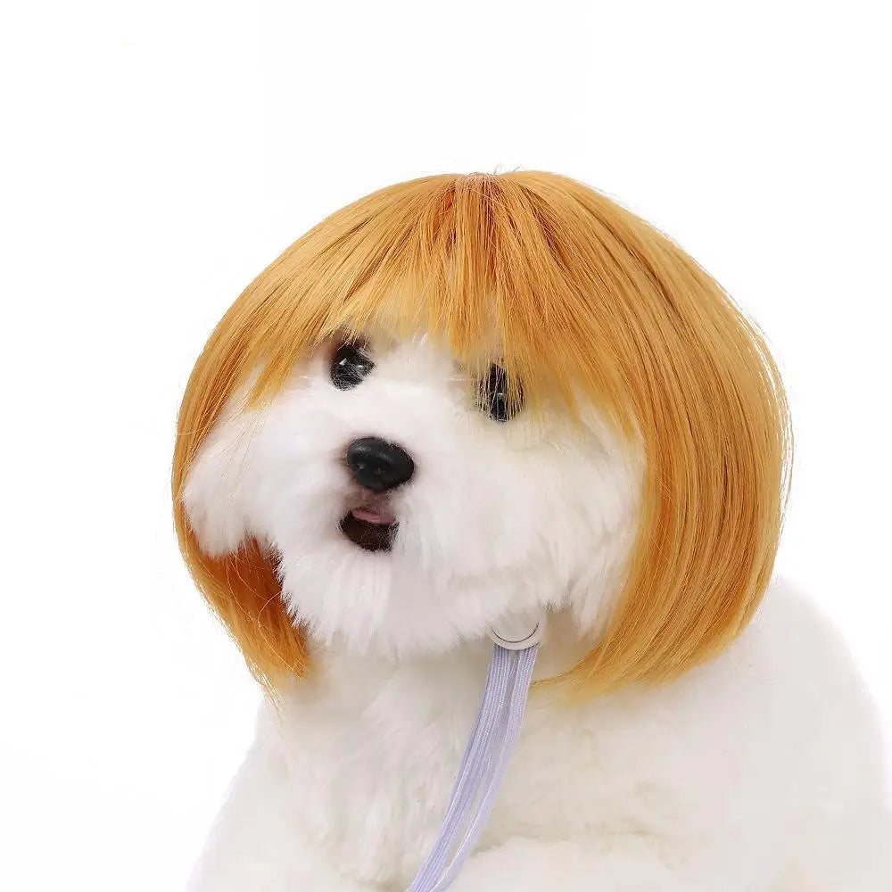 Pet Wigs