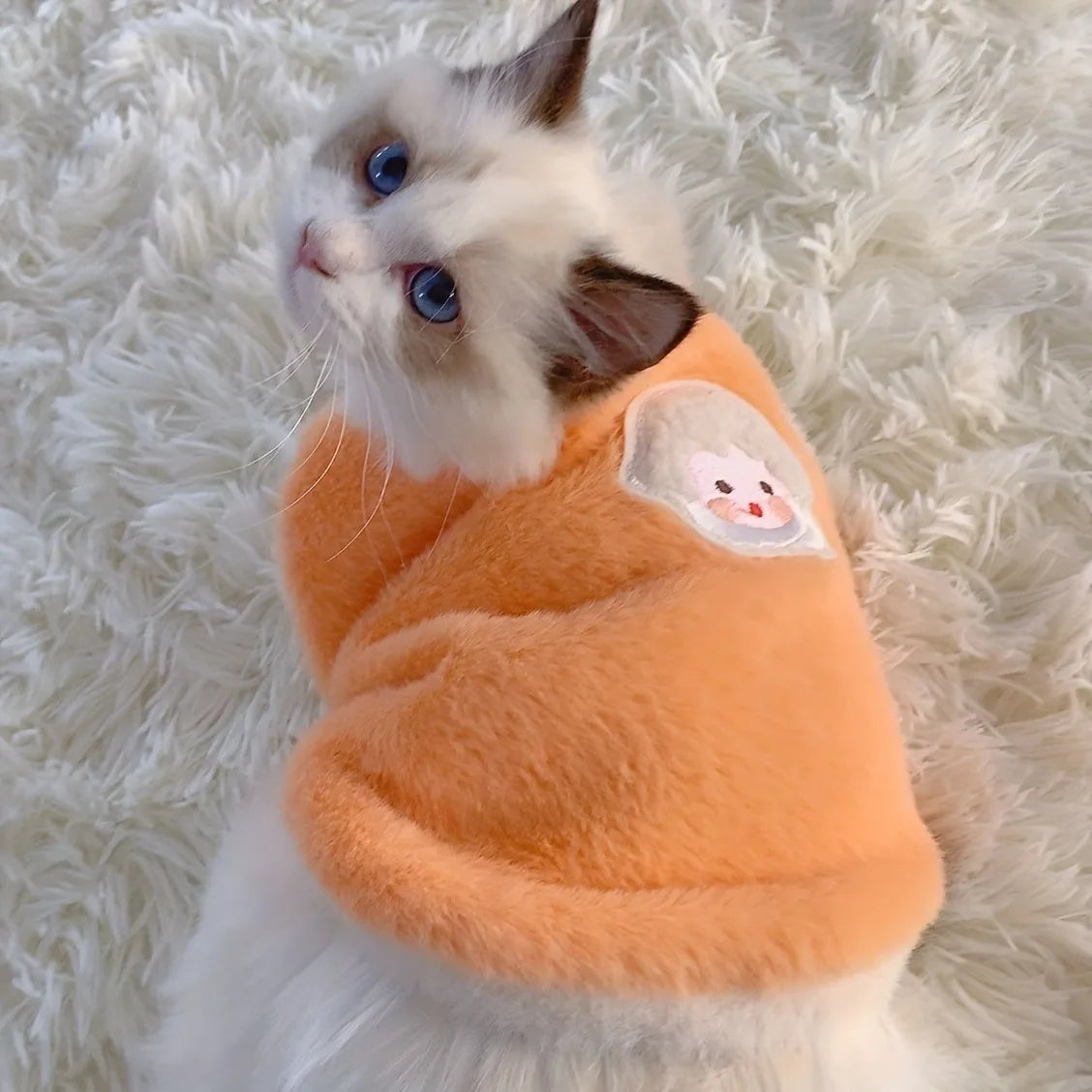 Pets Warm Kittens Clothes