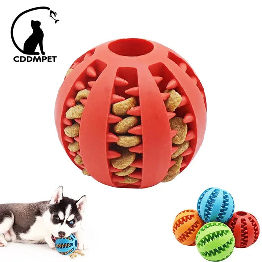 Interactive Elasticity Puppy Chew Toy