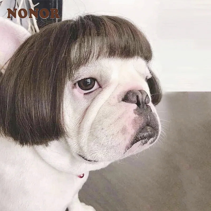 Funny Pet Wigs