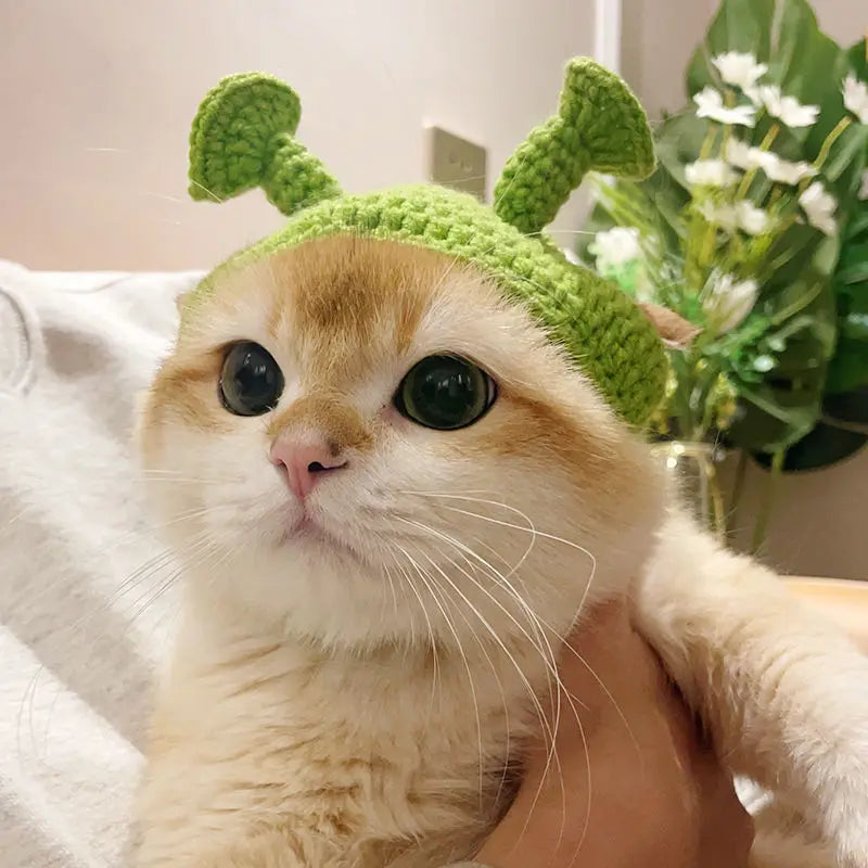 Cute Refined Cat Hat Elastic