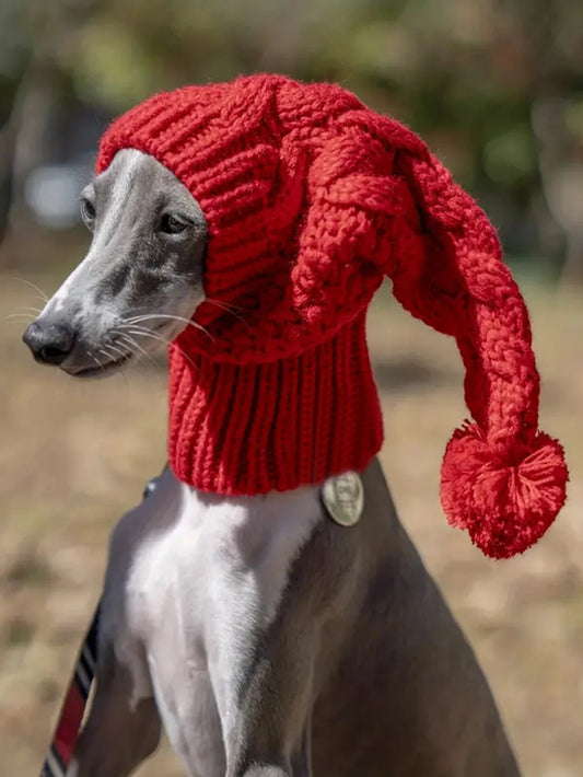 Hand knit winter wool beanie hat dog