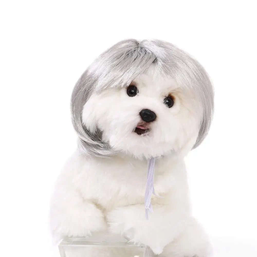 Pet Wigs