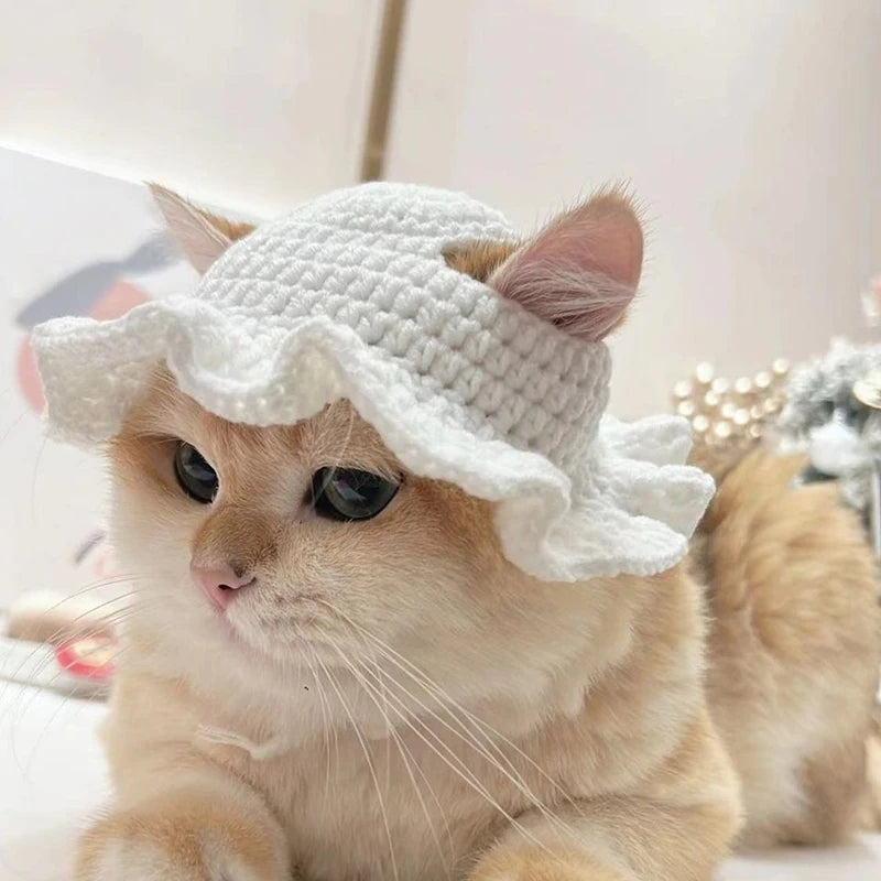 Cute Refined Cat Hat Elastic