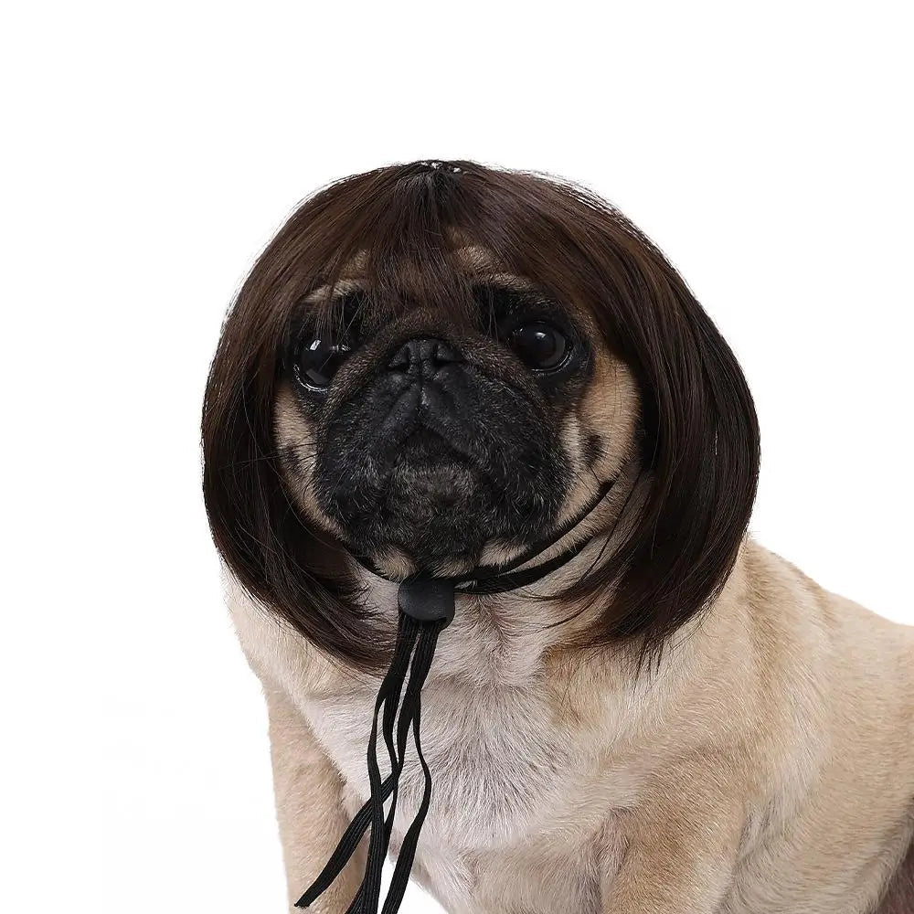 Pet Wigs