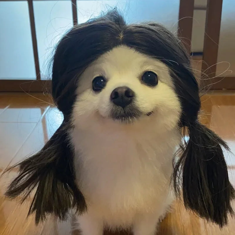 Pet Wigs