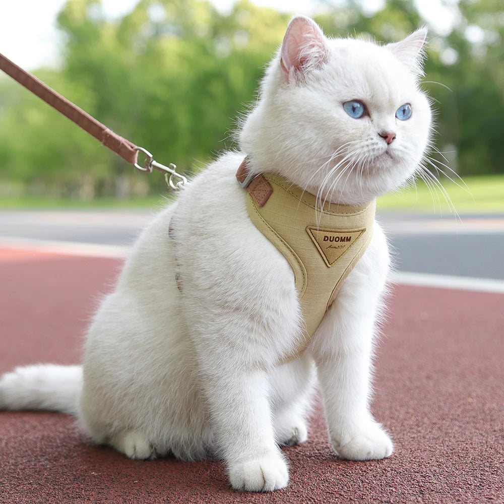 Harness and Leash Set for Small Dogs Cats