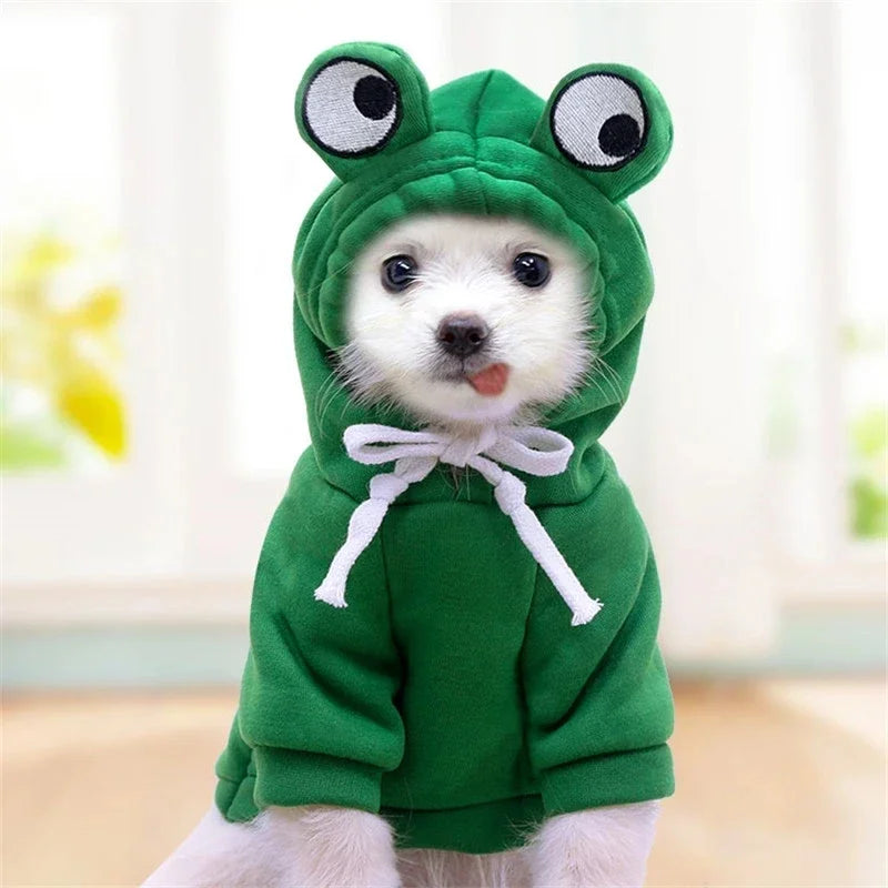 Cute Fruit Dog Clothes