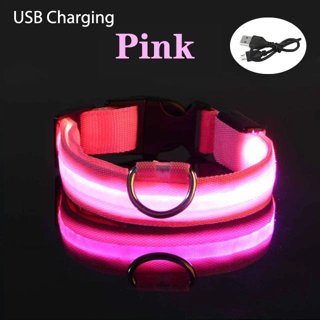 Dog Collar Rechargeable Light Up