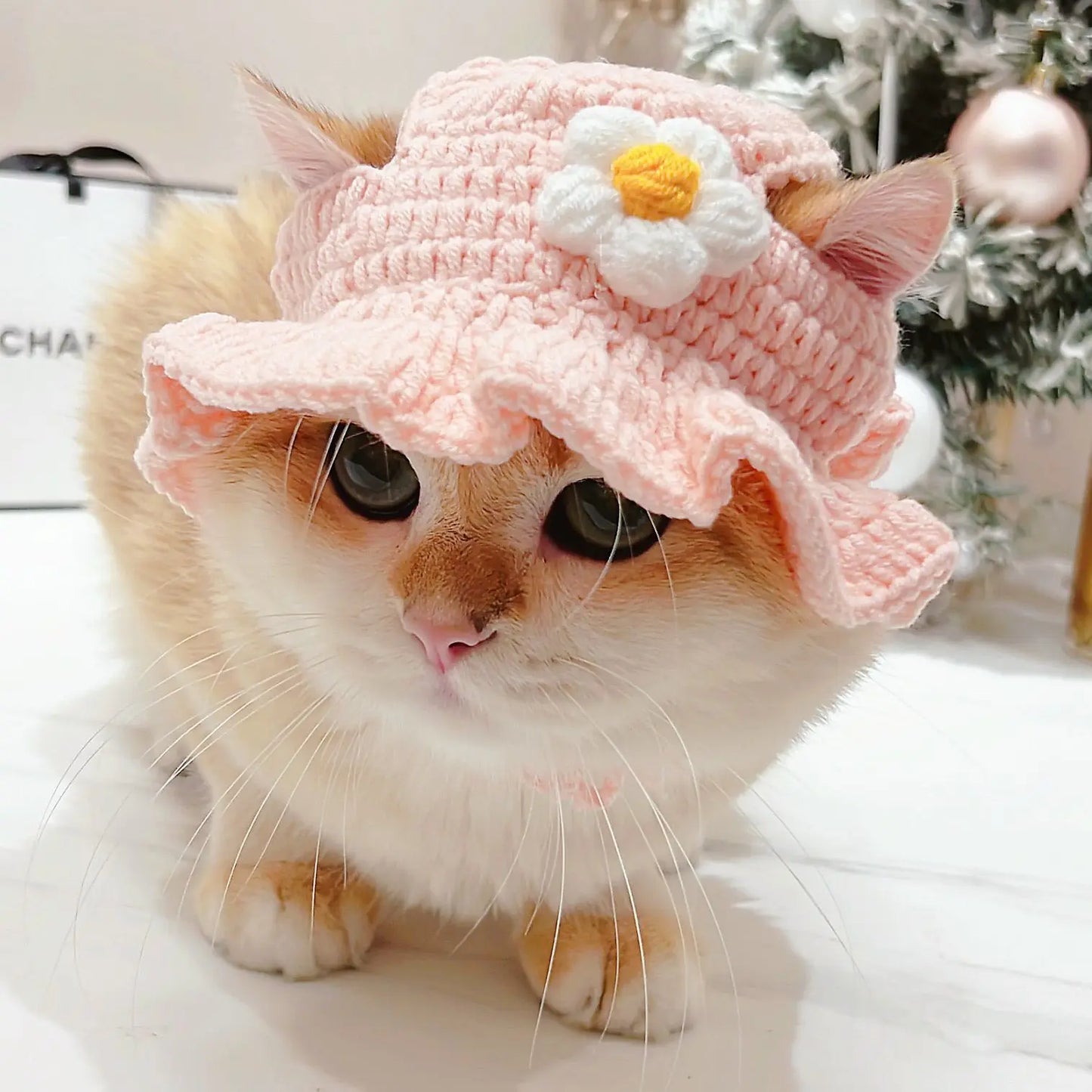 Cute Refined Cat Hat Elastic