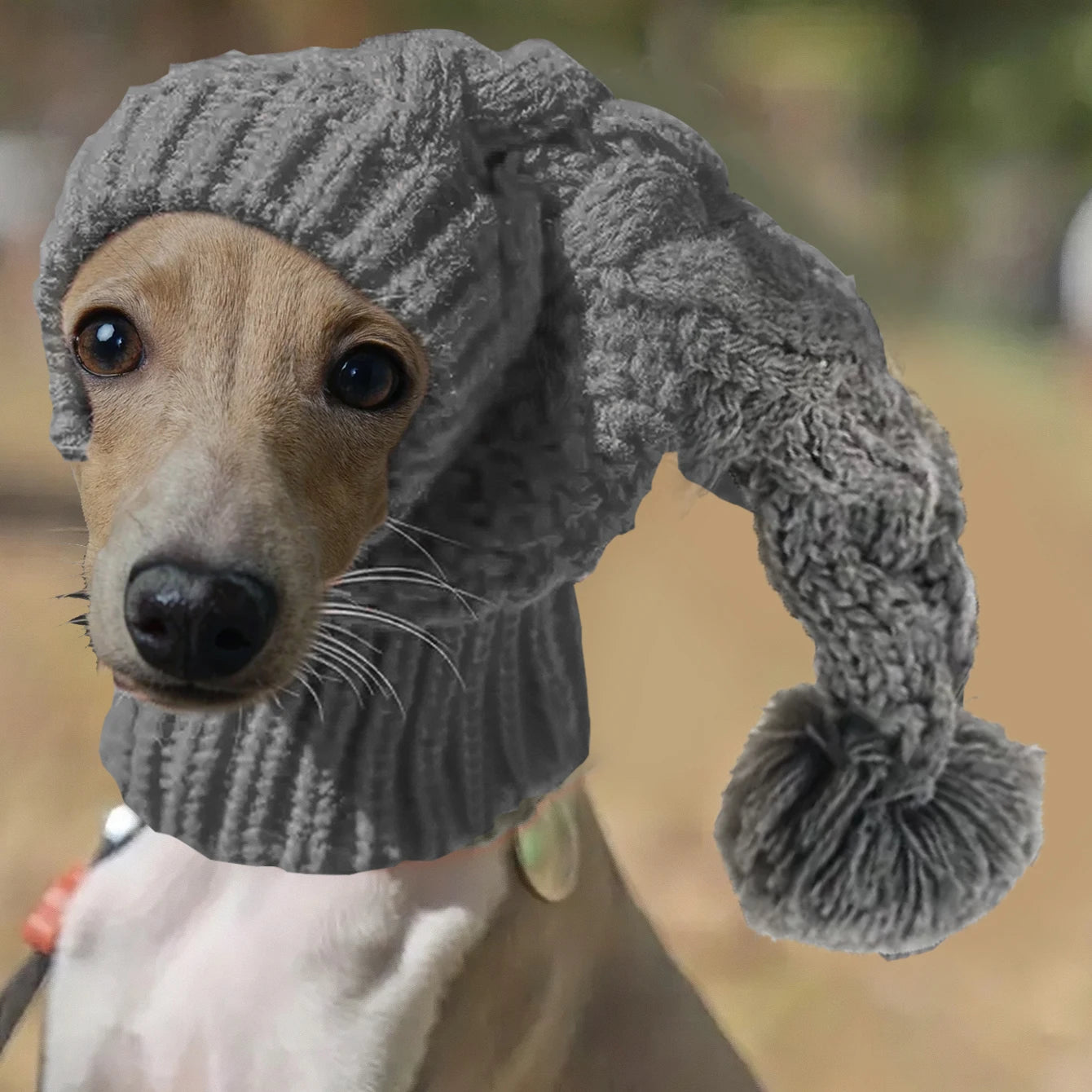 Hand knit winter wool beanie hat dog