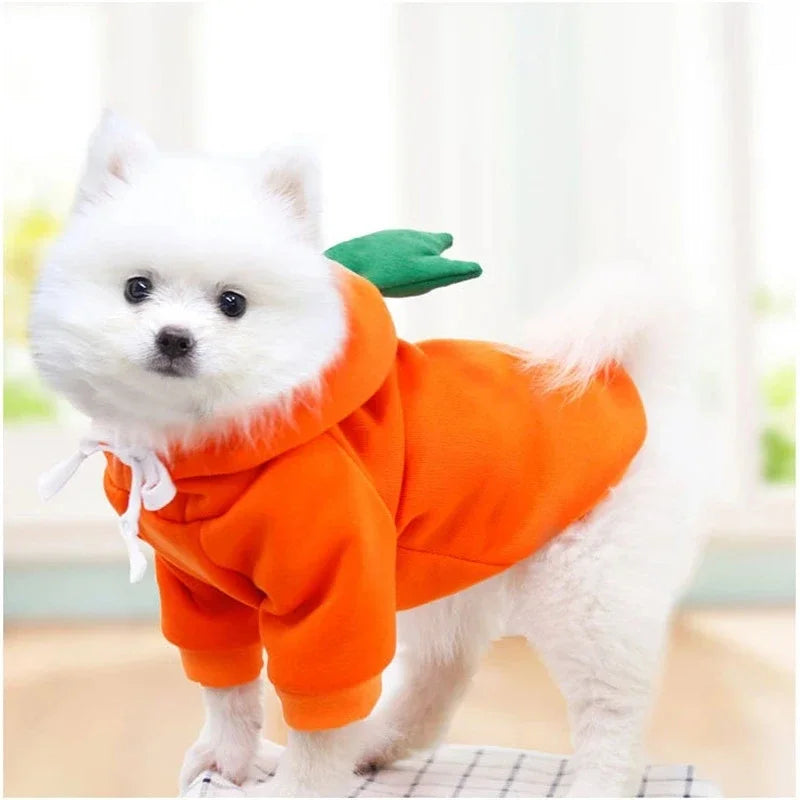 Cute Fruit Dog Clothes