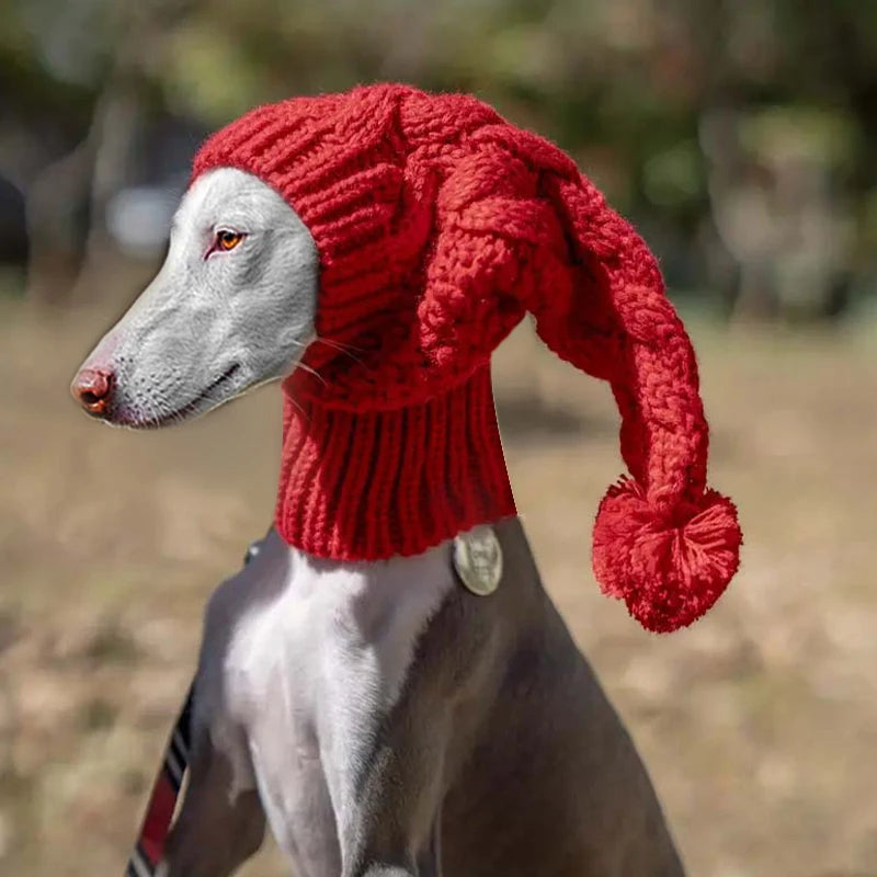 Hand knit winter wool beanie hat dog