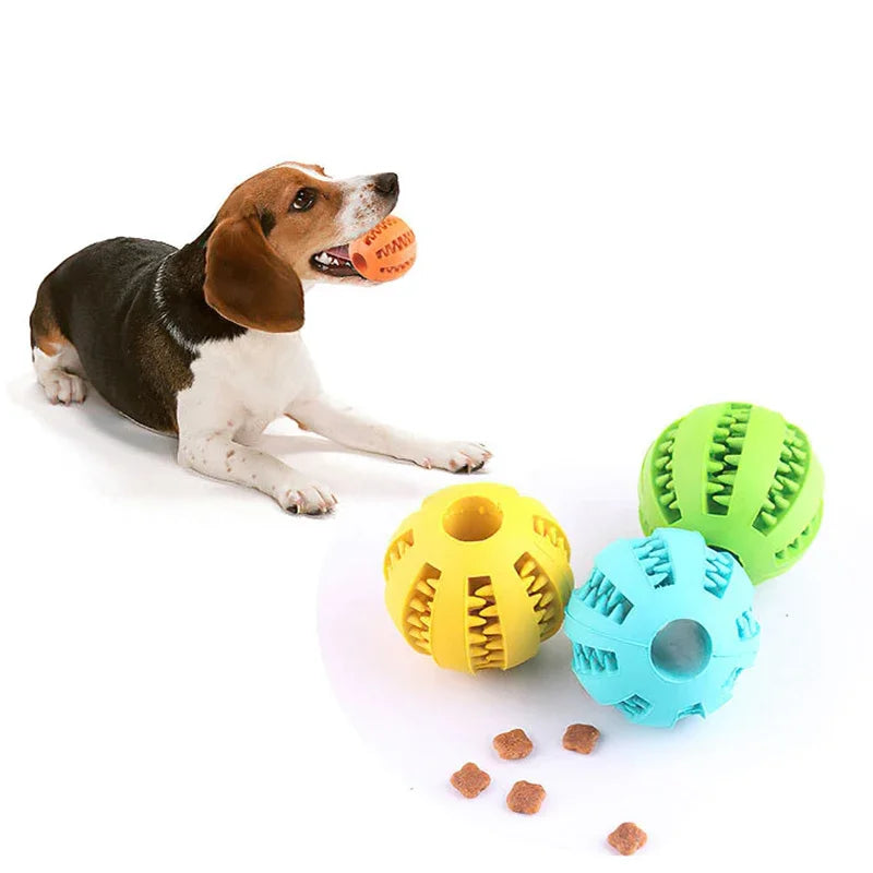 Interactive Elasticity Puppy Chew Toy