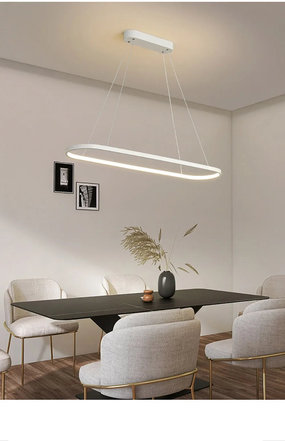 Modern LED Pendant Light Elliptical