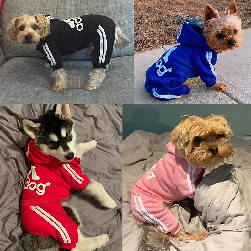 Adidog Clothes Dog