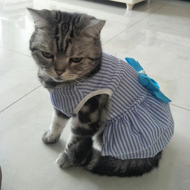 Cat Puppy Princess Dress