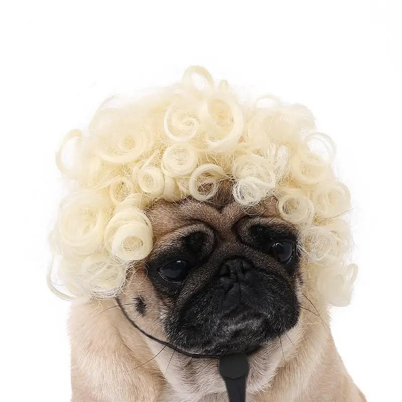 Pet Wigs