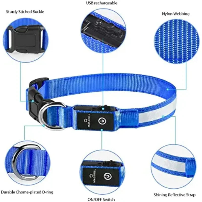 Dog Collar Rechargeable Light Up