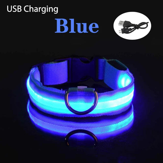 Dog Collar Rechargeable Light Up