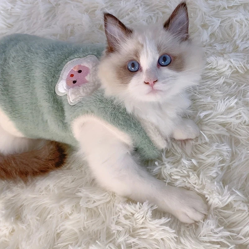 Pets Warm Kittens Clothes