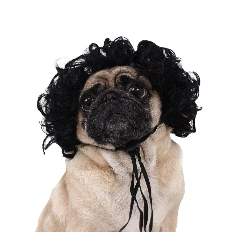 Pet Wigs