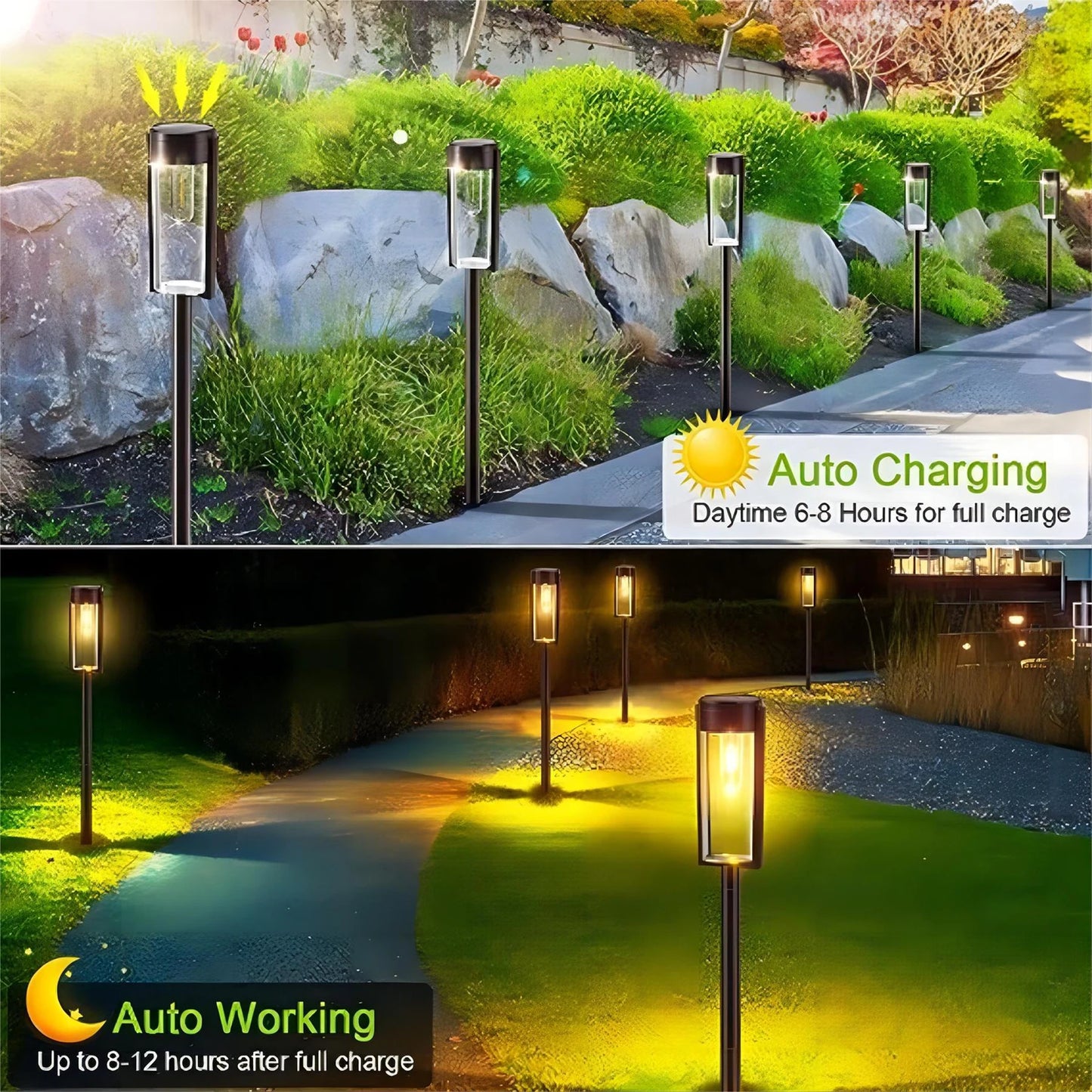 Solar Pathway Lights