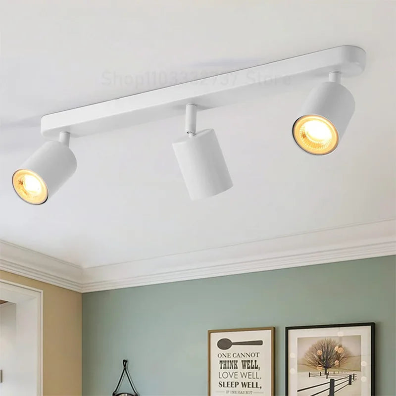 LED Ceiling Spotlight