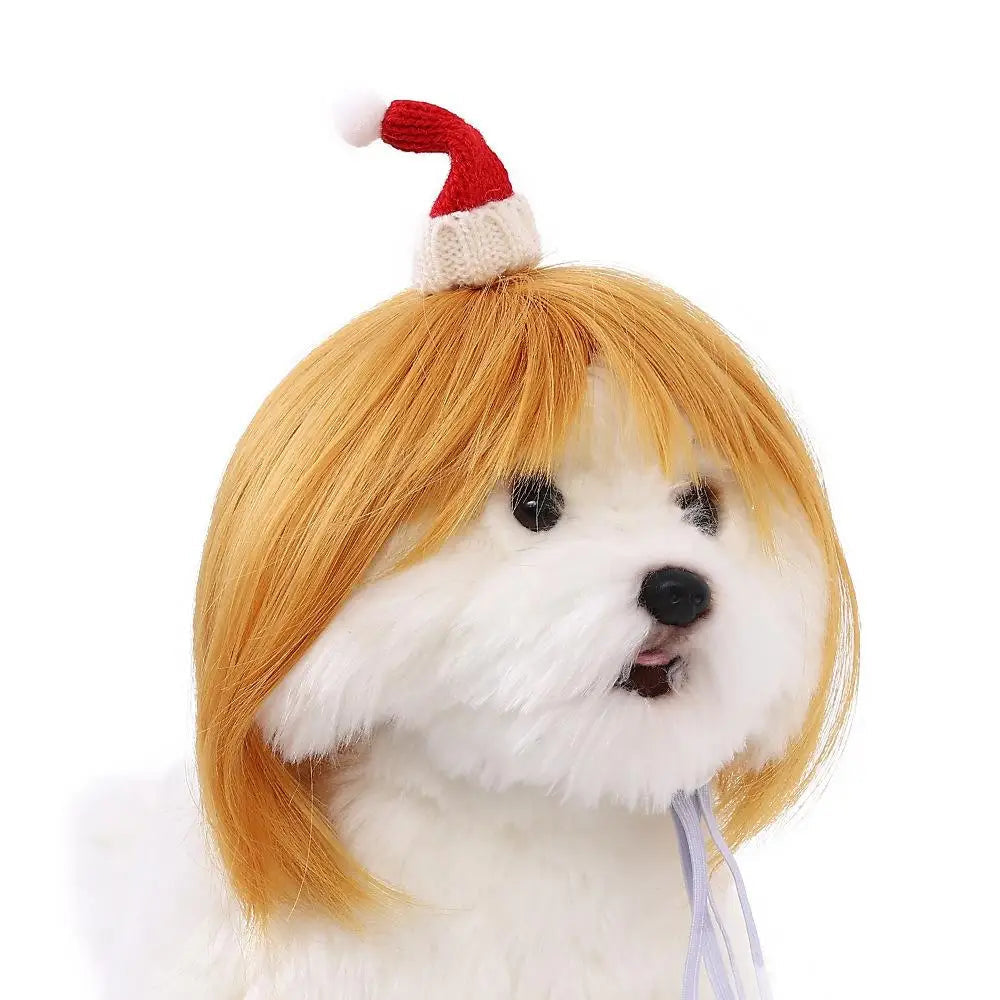 Pet Wigs