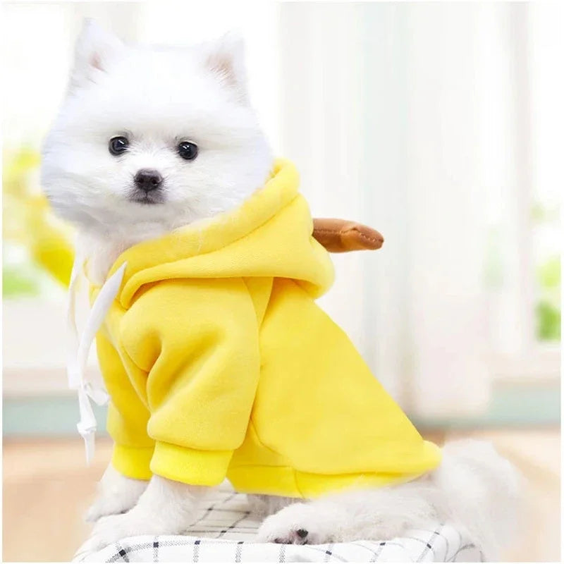 Cute Fruit Dog Clothes