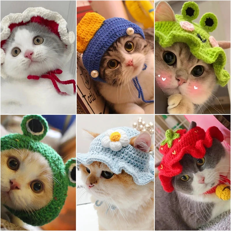 Cute Refined Cat Hat Elastic