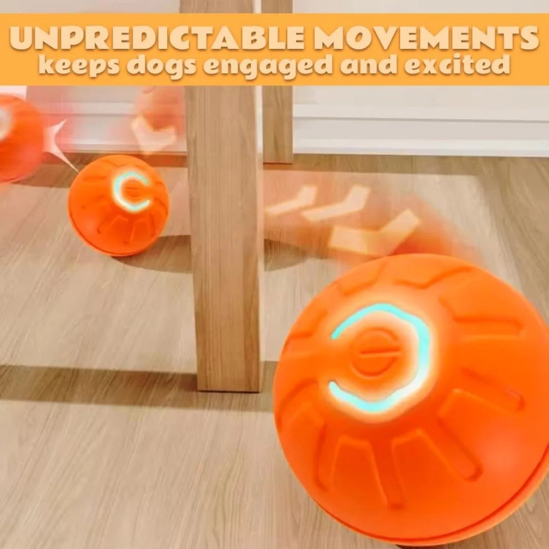 toy Gravity Electric Amusement Pet Ball