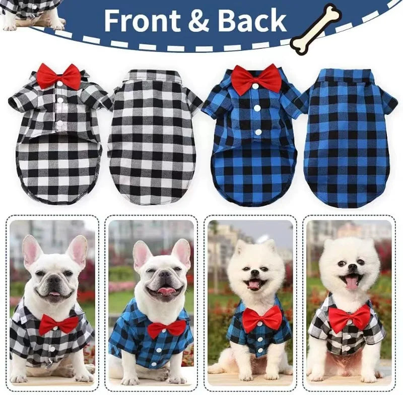 Dress for Pet, Shirt Suit