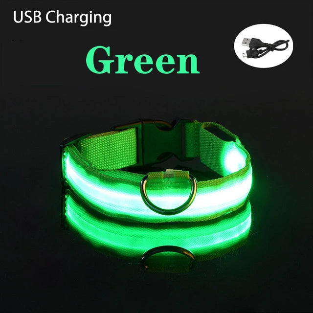 Dog Collar Rechargeable Light Up