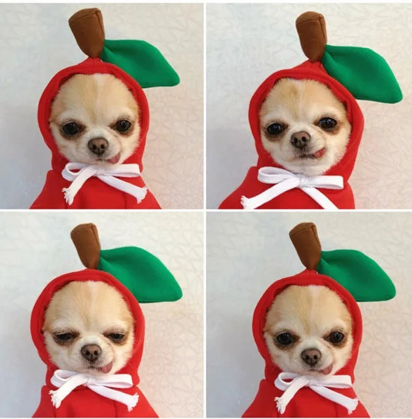 Dog Winter Hooded Sweatshirt Costume